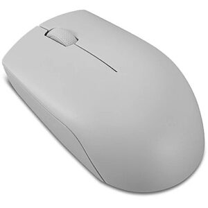 Lenovo 300 Wireless Compact Mouse