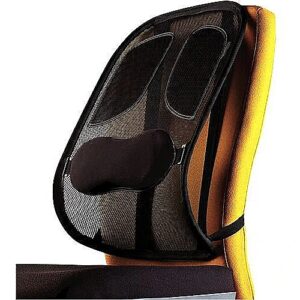 Fellowes CHAIR MESH BACK SUPPORT/PROFESSIONAL 8029901 043859600960