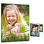 Hewlett Packard HP Everyday Glossy Photo Paper A4 100 BL Q2510A 0808736472647