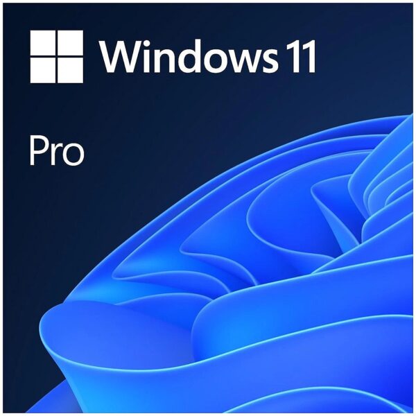 Microsoft Windows 11 Pro