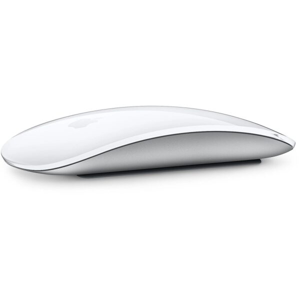 Apple Magic Mouse MK2E3ZM/A 194252542323