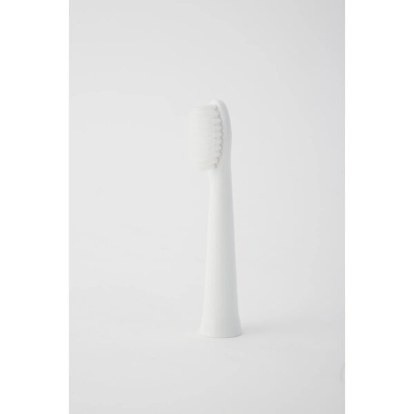 Panasonic toothbrush heads WEW0972W503