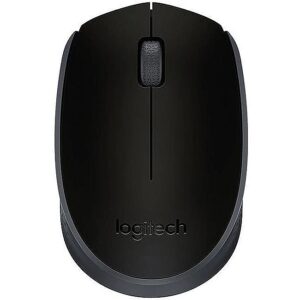 Logitech M171