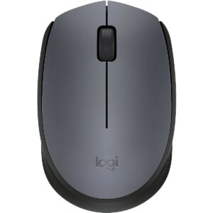 Logitech M170