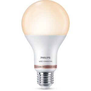 Philips Smart E27 A67 13 W (100 W)