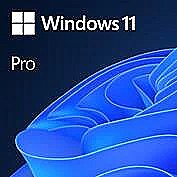 Microsoft MS 1x Win 11 Pro GGK 64Bit DVD OEM (EN)