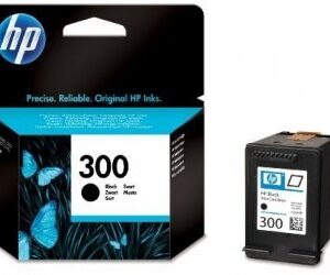 HP 300 Tintes kārtridžs CC640EE 883585763351