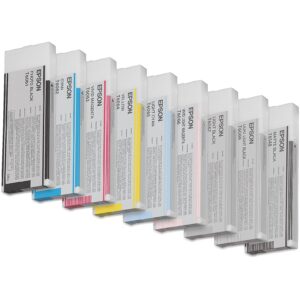 Epson Druckerpatrone T6066