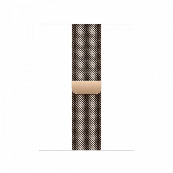 Apple 40 mm Gold Milanese Loop MAXL4ZM/A 0195949832208