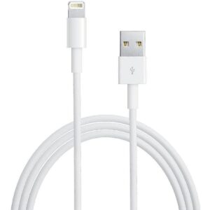 Apple Lightning to USB Cable