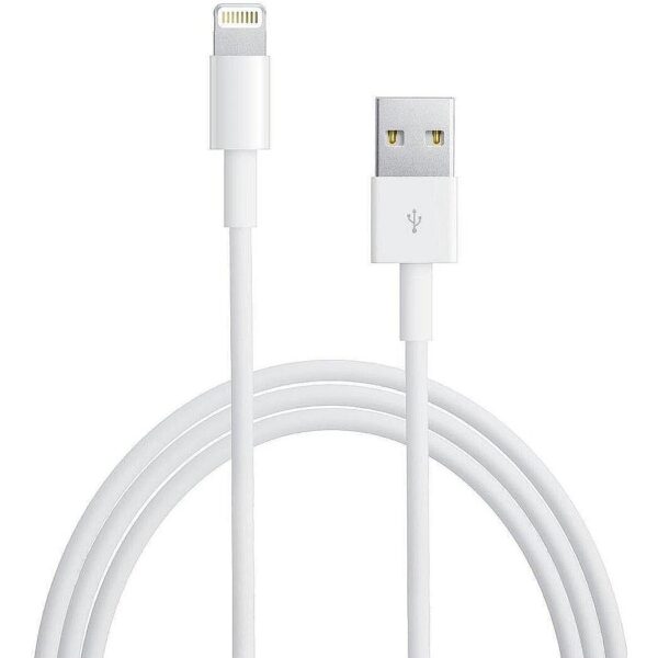 Apple Lightning to USB Cable