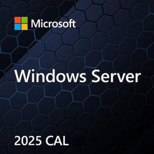 Microsoft MS Windows Svr CAL 2025 PL Clt Device CAL OEM EP2-25250 196388487738