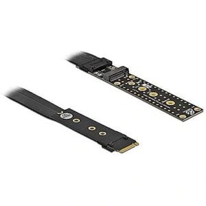 Delock riser card M.2 Key M extension - with 20 cm cable 64136 4043619641369