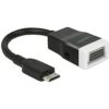 Delock Adapter HDMI-mini-C - VGA D-Sub 65588 4043619655885