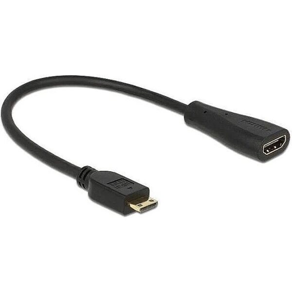 Delock HDMI to MiniHDMI