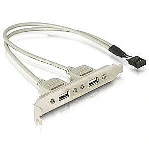 Delock Slot Bracket USB 2.0 x2 71000 4043619710003