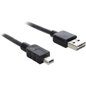 Delock USB-A to Mini-B