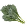 Click & Grow Smart Refill Italian Kale 3pcs SGR86X3 4742793003122