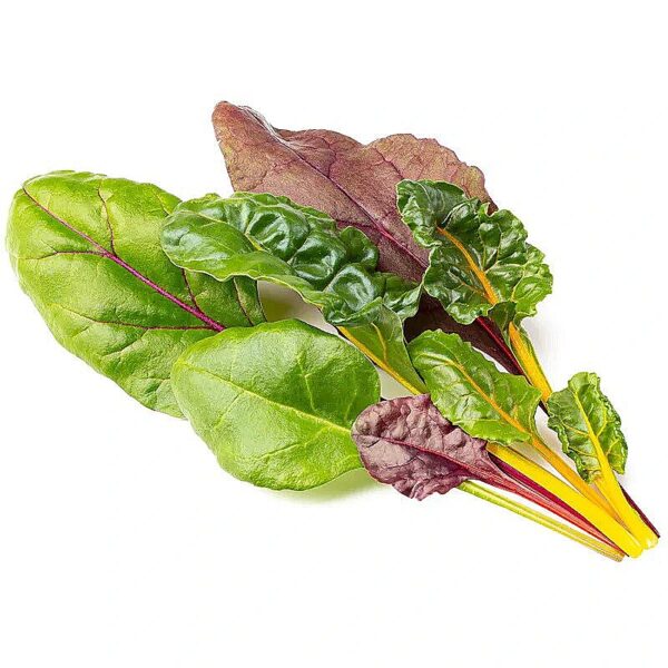 Click & Grow Smart Refill Rainbow Chard 3pcs SGR89X3 4742793003184