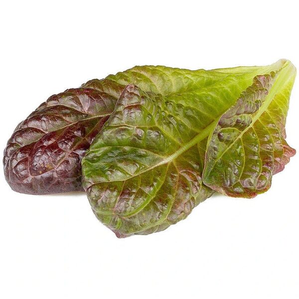 Click & Grow Smart Refill Red romaine lettuce 3pcs SGR94X3 4742793003672