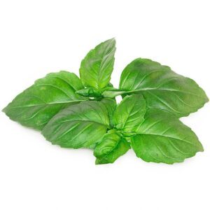 Click & Grow Smart Garden refill Marseille Basil 3pcs SGR99X3 4742793003986