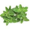 Click & Grow Smart Garden refill Marjoram 3pcs SGR41X3 4742793007571