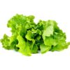 Click & Grow Smart Garden refill Lettuce 3pcs SGR32X3 4742793007731