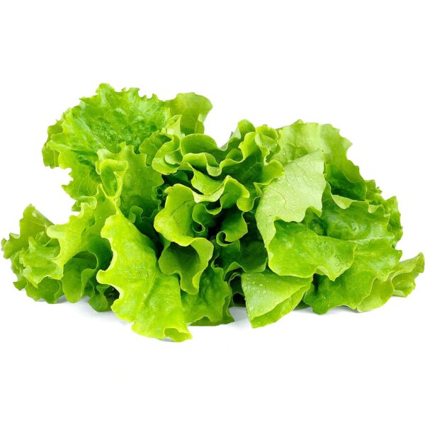 Click & Grow Smart Garden refill Lettuce 3pcs SGR32X3 4742793007731