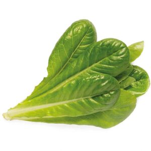 Click & Grow Smart Garden refill Romaine Lettuce 3pcs SGR50X3 4742793008820