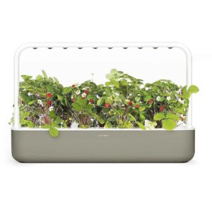 Click & Grow Smart Garden 9