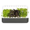 Click & Grow Smart Garden 9