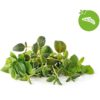 Click & Grow Plant Pod Italian Mix 9pcs PPMIPX9 4742793009209