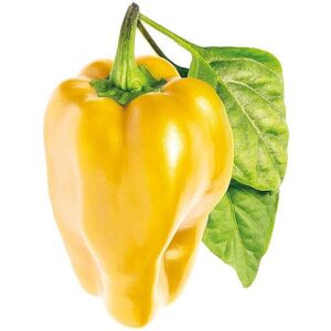 Click & Grow Smart Garden refill Yellow Sweet Pepper 3pcs SGR53X3 4742793009766