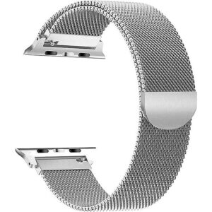 Tech-Protect Milaneseband Apple Watch 2/3/4/5/6/SE 38/40mm silver 5906735412918 5906735412918