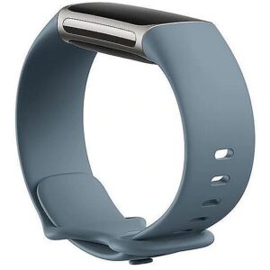 Fitbit Silicone band L