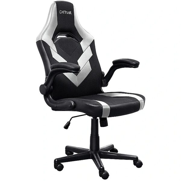 Trust GAMING CHAIR GXT 703W RIYE/WHITE 25130 8713439251302