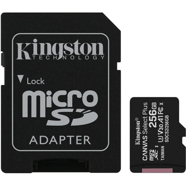 SDCS2/256GB