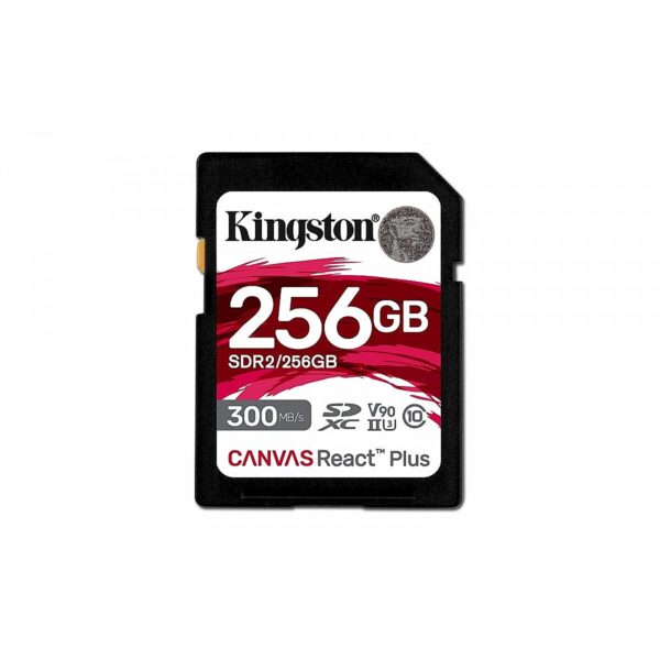 SDR2/256GB