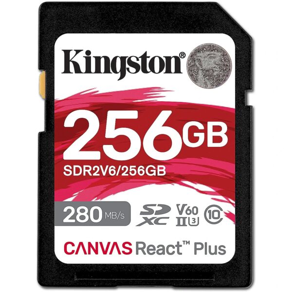 SDR2V6/256GB