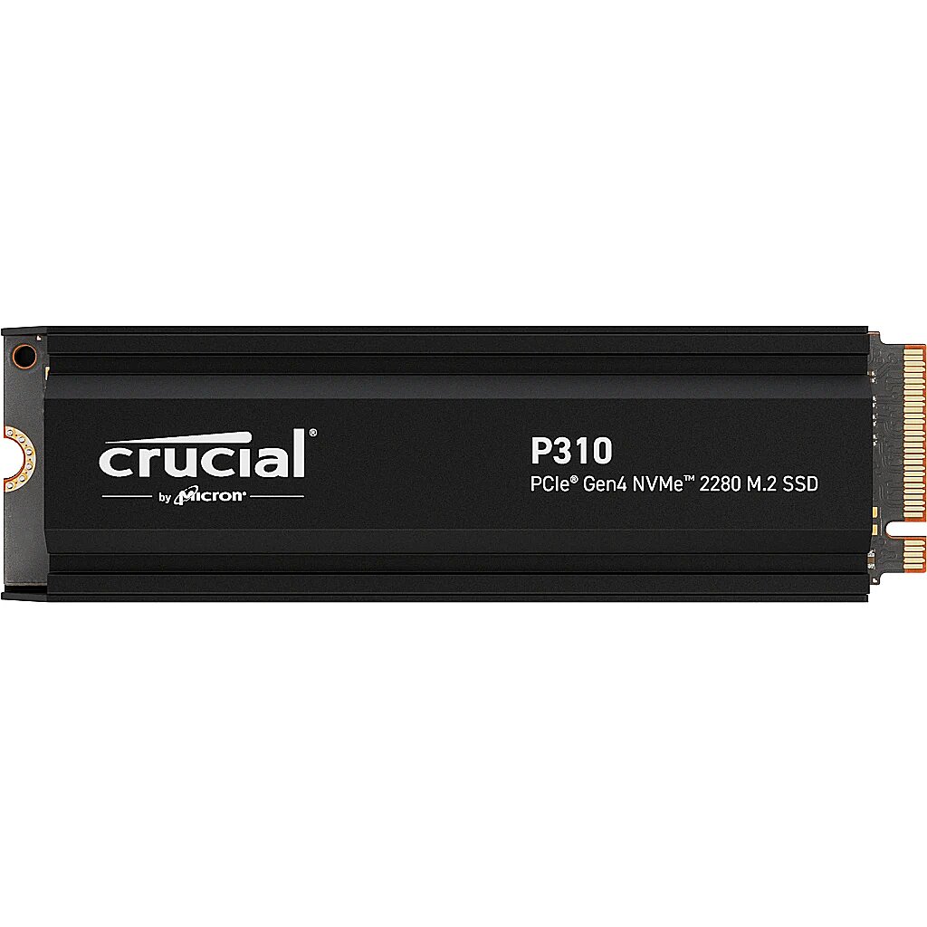 CT4000P310SSD5