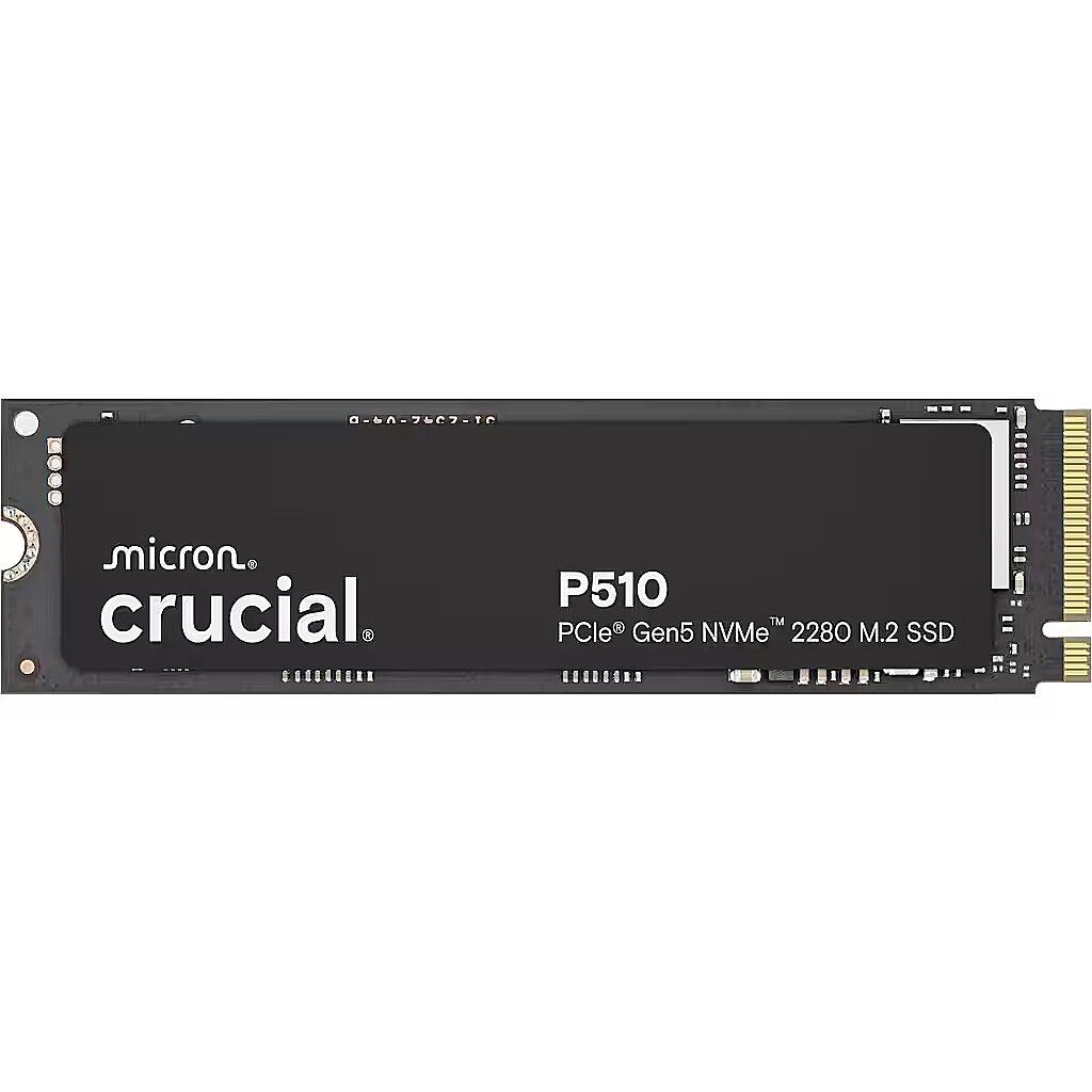 CT1000P510SSD8