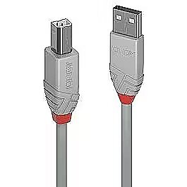 36683